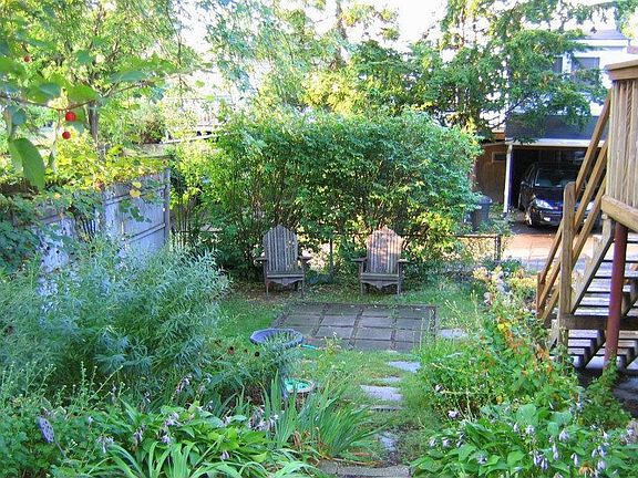 back half of side yard