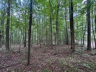 3rd image of 18 County Road 48