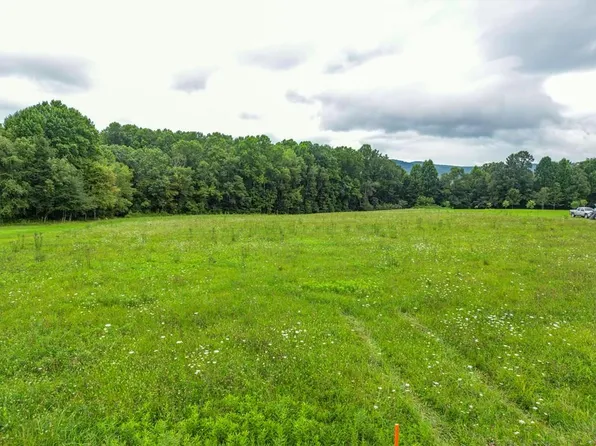 4.15 Ac Hwy #133, Shady Valley, TN 37688