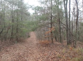 641 Nugget Ln, Ellijay, GA 30540