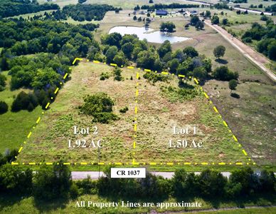 LOT 1 County Road 1037, Celeste, TX, 75423