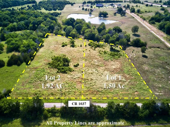 LOT 1 County Road 1037, Celeste, TX 75423