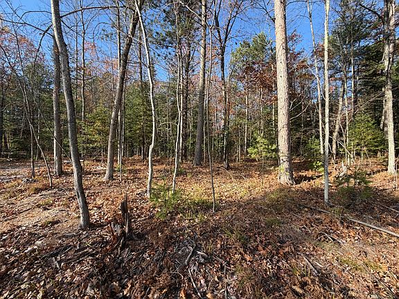 4th image of 1.51 ac MADELINE LN