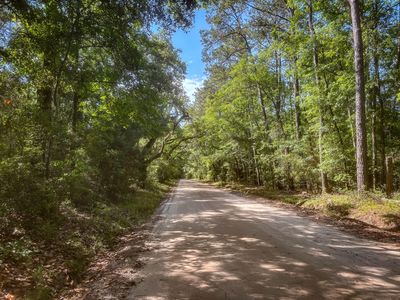 2127 Leadenwah Dr, Wadmalaw Island, SC, 29487