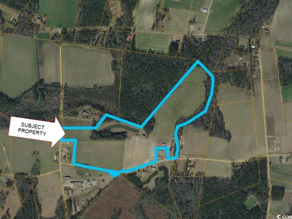 TBD Hickory Holt Rd., Galivants Ferry, SC 29544