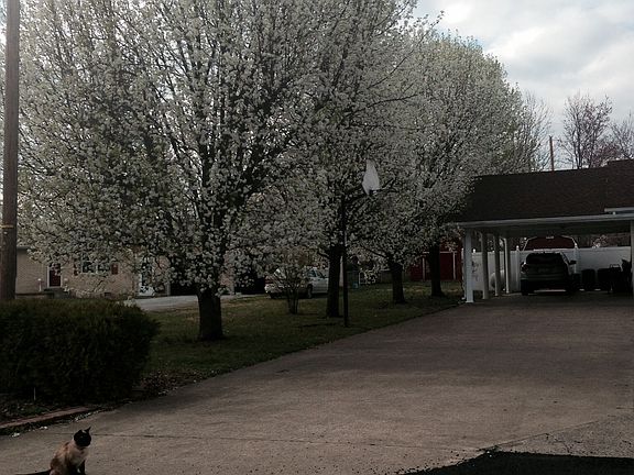 5th image of 507 Rose Hill Dr