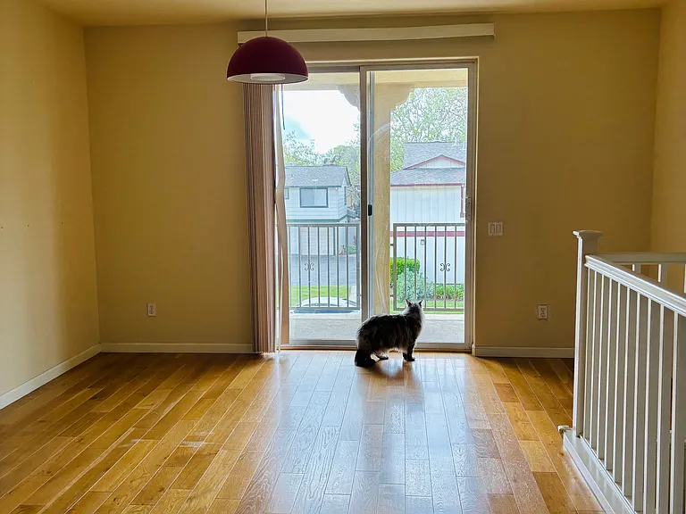 698 Cedarville Ln — Photo 7