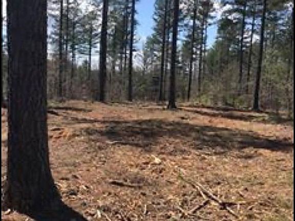 2nd image of Big Pine Dr