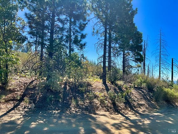 3rd image of 11233 Pitney Ridge Road
