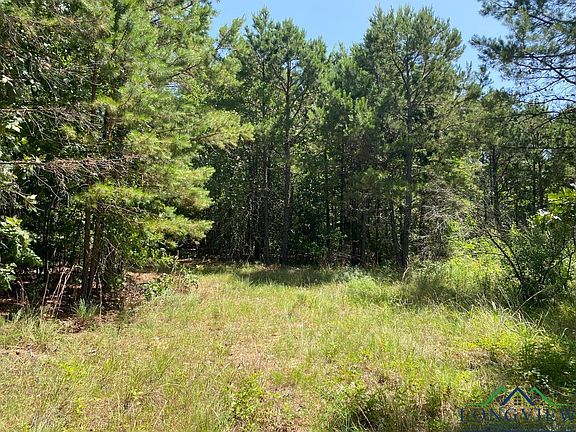 2nd image of 0 County Road 1599