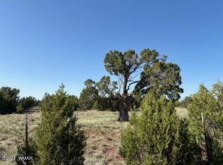 10A-SW-107 37 #29-B, Vernon, AZ 85940