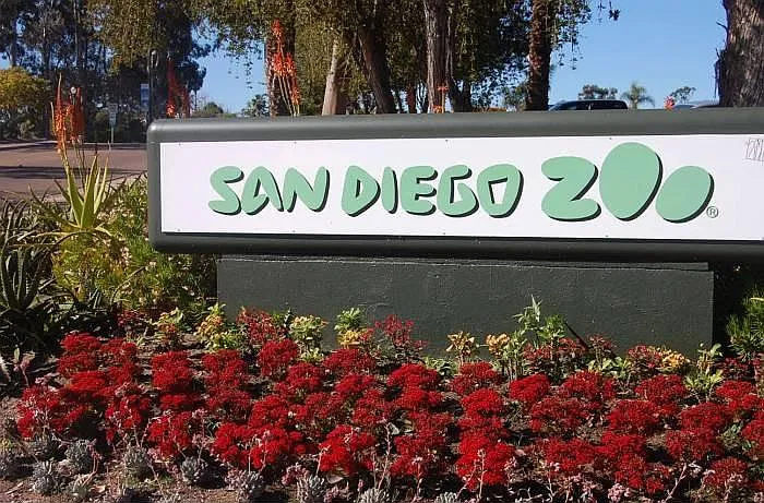 Close to the Zoo