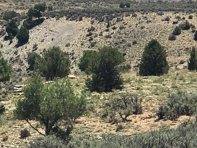 1st image of Ranchos Del Vado Unit 11