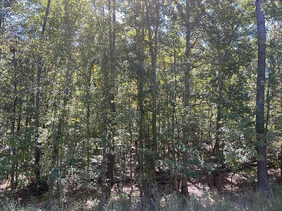 2nd image of 162 Jamesway Dr