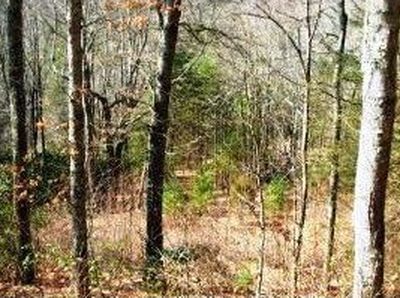 11 Dendy Orchard Rd, Highlands, NC, 28741