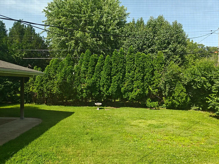 435 Wren Dr — Photo 16