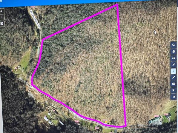 6725 Miller Creek Rd, Swords Creek, VA 24649