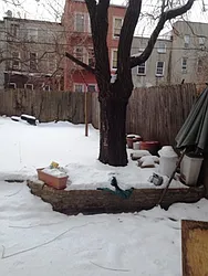 Rented by Lions Share Inc.