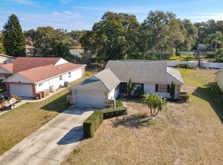 36304 Brendenshire Ct, Grand Island, FL 32735