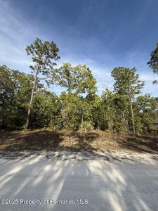 LOT 9 Macassar Rd, Brooksville, FL, 34614