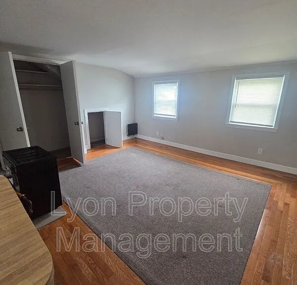 84 Spring St #3R — Photo 4
