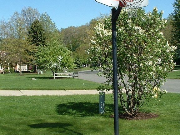 Driveway Basketball Hoop