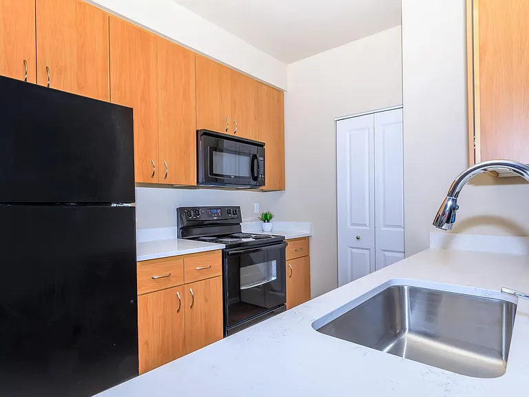 Mammoth Kitchen Sinks with Pull Down Single Handle Spray Faucets .