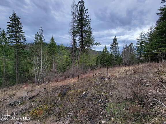 4th image of PARCEL E Lamb Rd #A