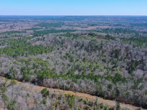 Hank Williams Rd, Mc Kenzie, AL 36456