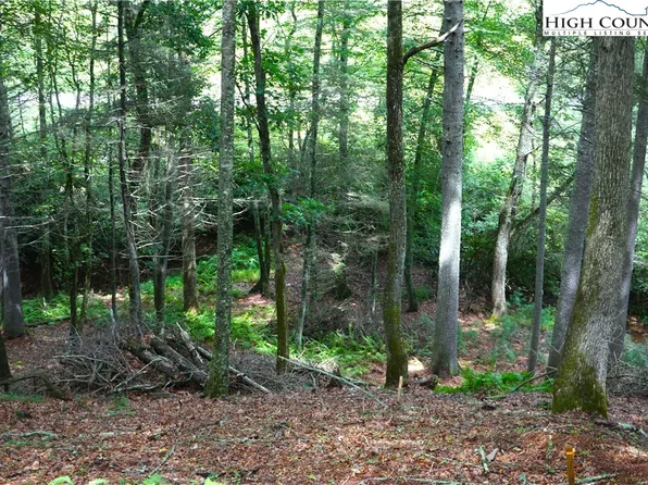 Lot 4 Brookhaven Trail, Jefferson, NC 28640