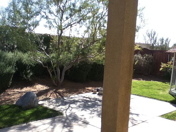 Back yard