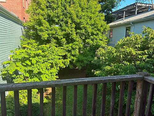 183 Elm St #2 Photo 1