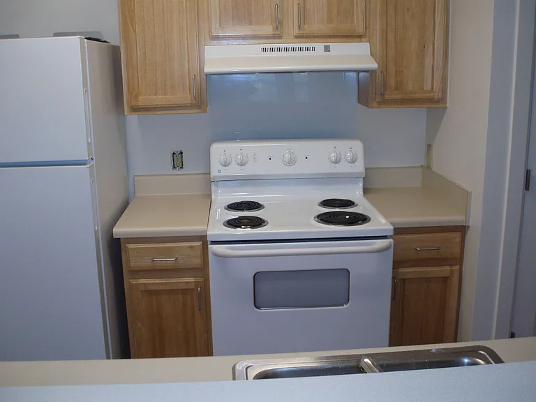Kitchen With Wooden Cabinets