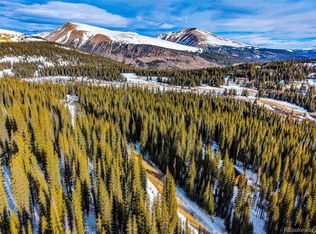 345 Bum Drive LOT 887, Fairplay, CO 80440