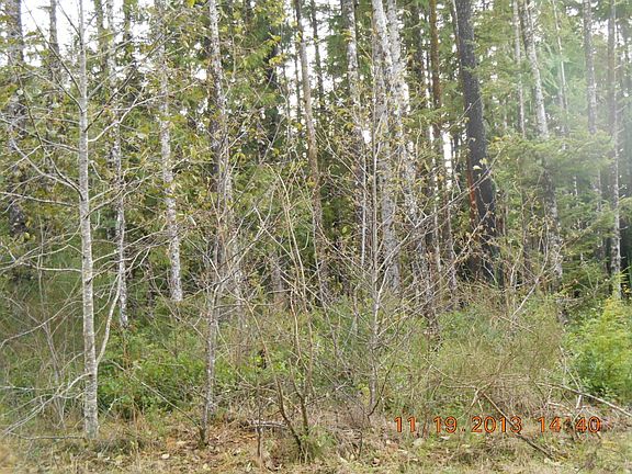 3rd image of Section Line Road