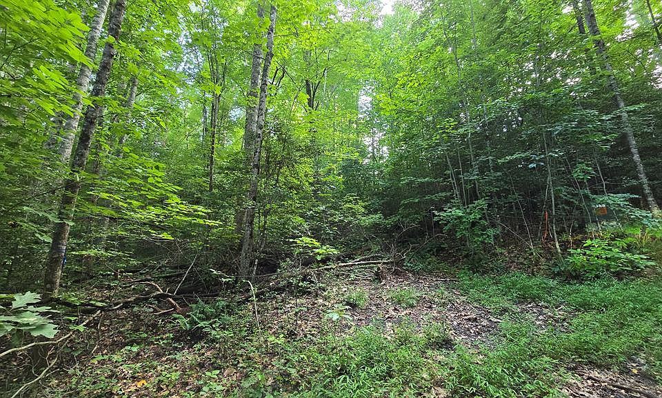 1st image of 14 Kilpatrick Point Ln