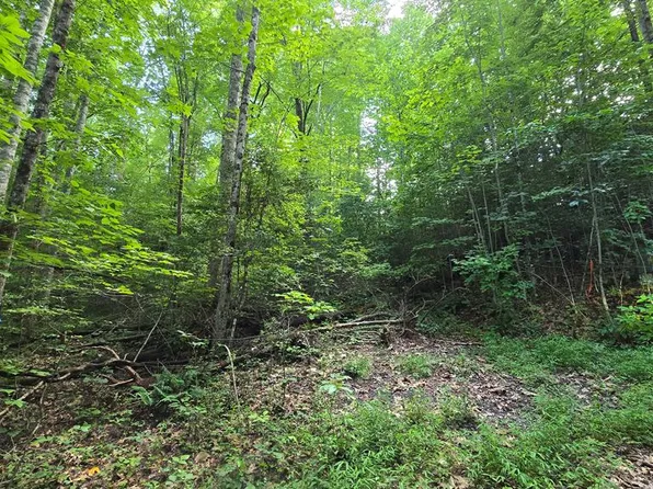 14 Kilpatrick Point Ln, Hayesville, NC 28904