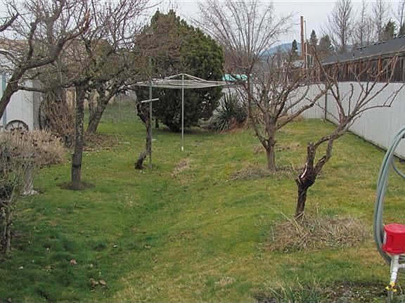 fruit trees