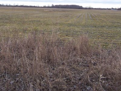 LOT Stoddard Rd #D, Columbus, MI, 48063