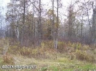 Palmer Dr NW, Bemidji, MN 56601