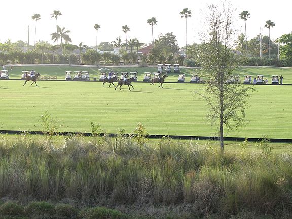 View of Polo matches
