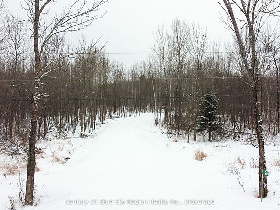 4th image of 249 Hills Siding Rd