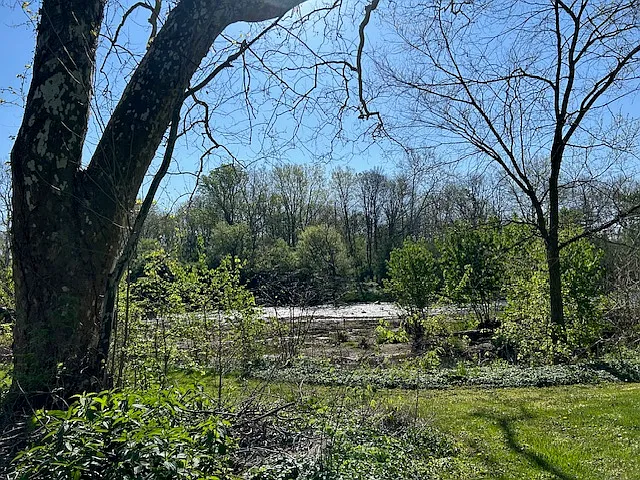 454 Shiloh Dr — Photo 21