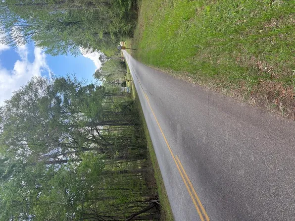 LOT 202 Valley Rescue Mission Rd, Hamilton, GA 31811