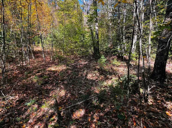 Map 408 Lot 39-1 Bullock Road, Richmond, NH 03446