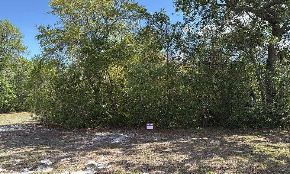 2nd image of 1105 Grapefruit Ave Lot 4