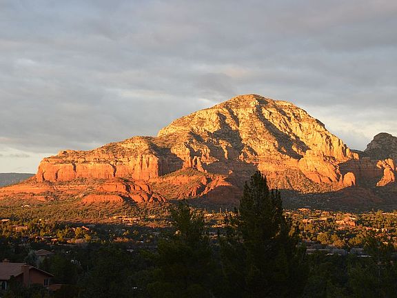 Summer view from deck