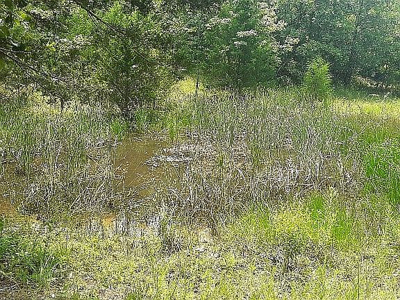 Spring feed pond