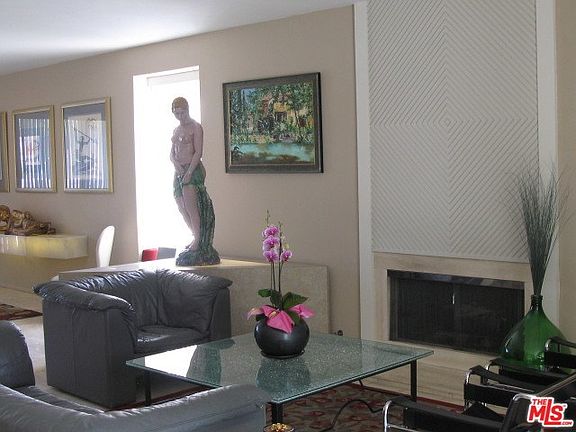 Living and fireplace
