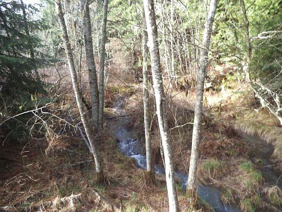 5th image of Nna Tamarack Creek Road